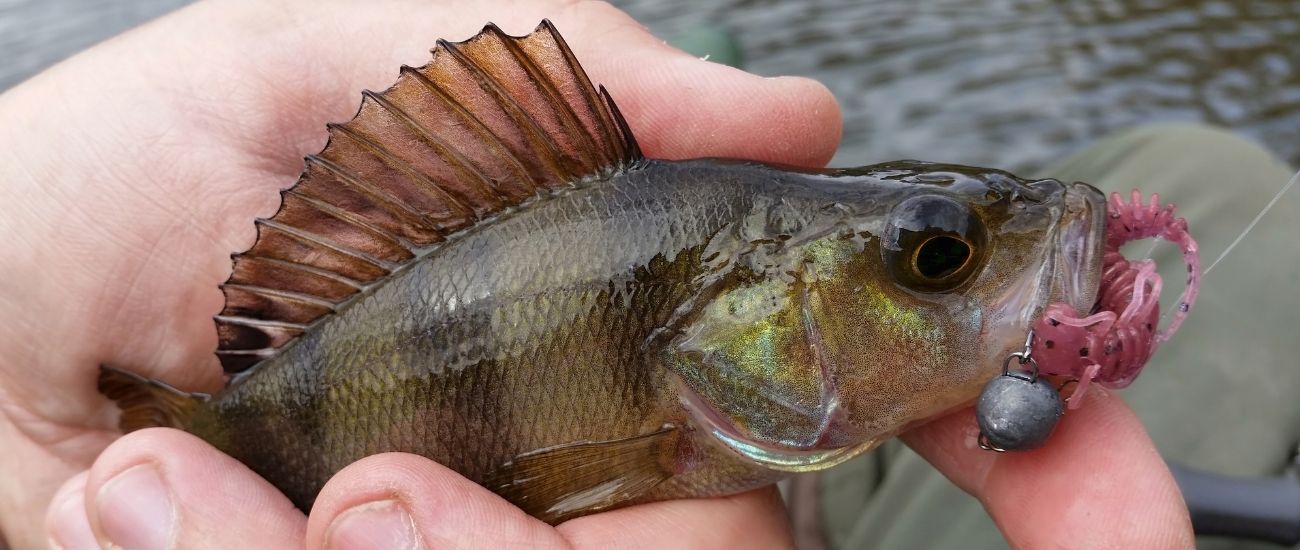 fishing